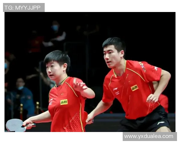 杭州排球队默契配合的关键因素与战术分析探讨 杭州排球队默契配合的关键因素与战术分析探讨