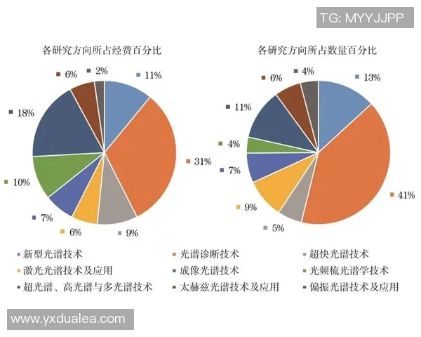 深圳足球队团队协作的成功秘诀与未来发展展望分析