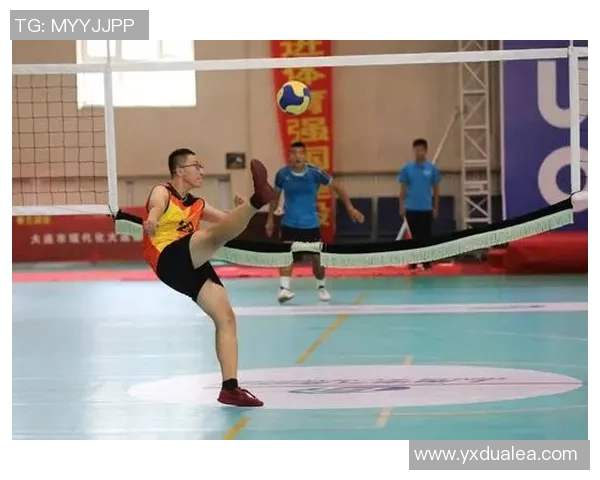 刘军专访：回顾羽毛球历程