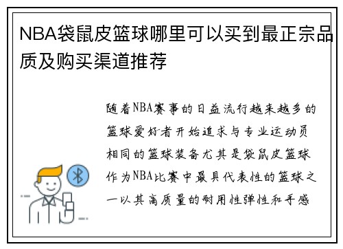 NBA袋鼠皮篮球哪里可以买到最正宗品质及购买渠道推荐