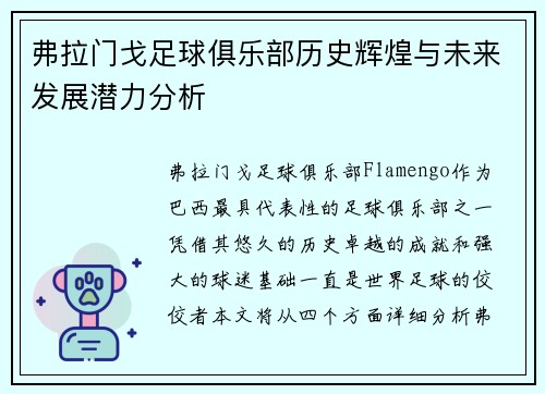 弗拉门戈足球俱乐部历史辉煌与未来发展潜力分析