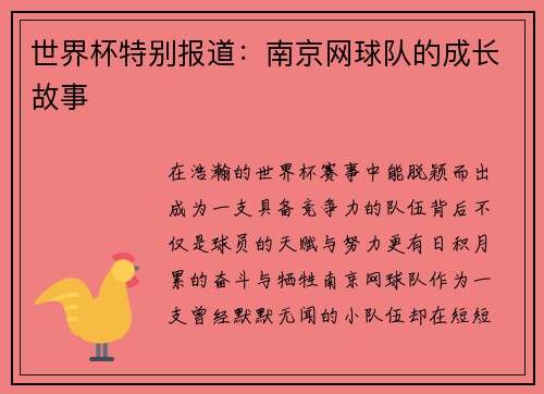 世界杯特别报道：南京网球队的成长故事