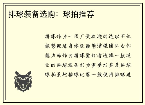 排球装备选购：球拍推荐