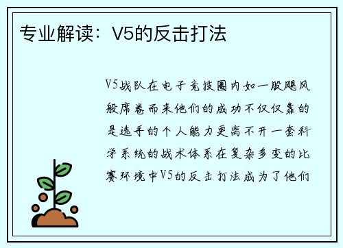 专业解读：V5的反击打法